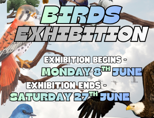 Birds Exhibition