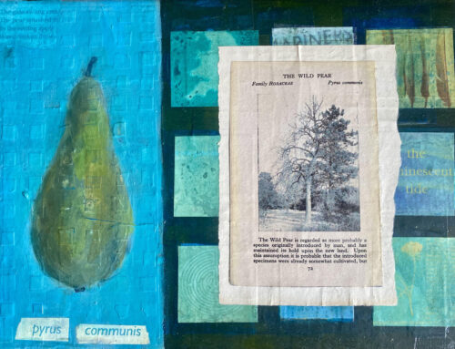 Green Things Exhibition